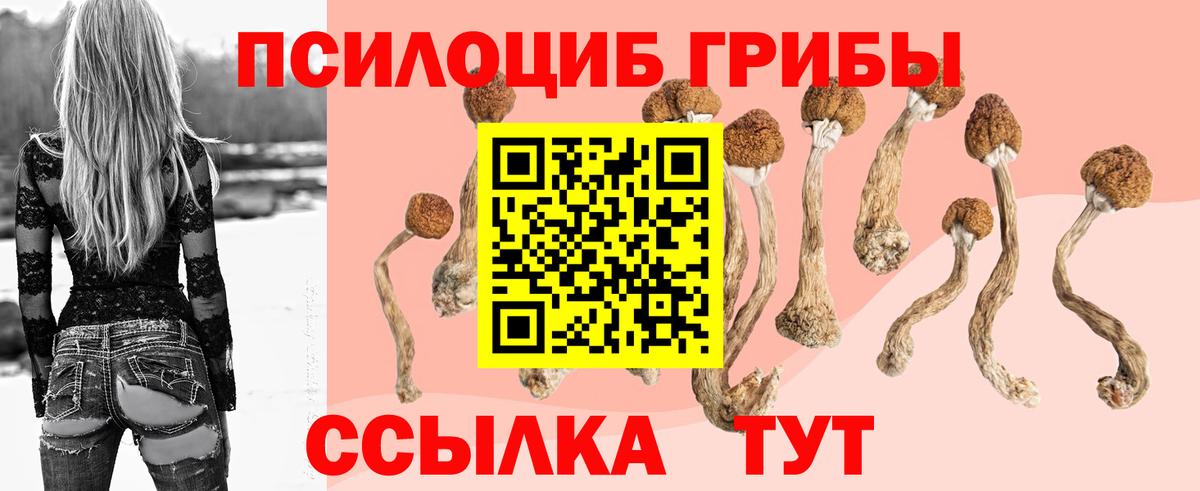 Псилоцибиновые грибы Cubensis Бузулук